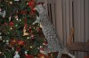 DSC_0724.JPG DSC_0724.JPG