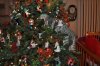 DSC_0726.JPG DSC_0726.JPG