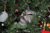DSC_0730.JPG DSC_0730.JPG