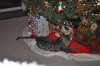 DSC_0734.JPG DSC_0734.JPG