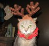 IMG_1404.jpg