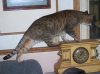 clock pic.jpg