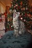 DSC_0787.JPG