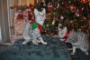 DSC_0795.JPG