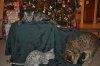 DSC_0813.JPG