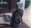 IMG00069-20121214-08381.jpg