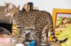 010313-ixas-6_web.jpg