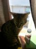 uploadfromtaptalk1357419156475.jpg