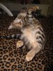 DSC01971.JPG