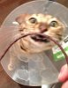 New Image1.JPG