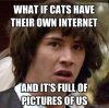 ImageUploadedByTapatalk1358267570.242874.jpg