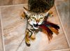 DSC_0147.JPG
