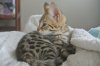 DSC_3256.JPG