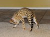 700_6474.jpg