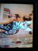 ImageUploadedByTapatalk1359911397.325639.jpg