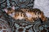 IMG_1987V2BY8.jpg