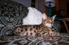 IMG_1993V2BY8.jpg