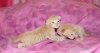 DSC04368.JPG