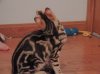 DSCN0867.JPG