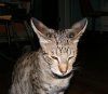 DSCF5471.jpg