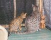 DSCF3709.jpg
