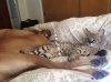 IMG_3180.jpg