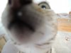 DSCN0936.JPG