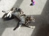 DSCN0938.JPG