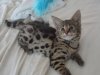 DSC01685.jpg