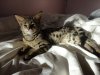 DSC01700.jpg