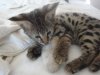 DSC01710.jpg