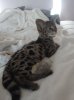 DSC01717.jpg