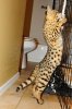 700_7631.jpg