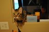 DSC_0378.JPG