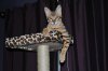 DSC_0072.JPG