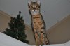 DSC_0534.JPG