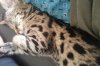 IMG_20130324_134505.jpg
