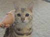 DSCN1190.JPG