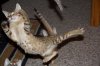 101612-JUMPSHOT-1_web.jpg