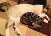 jazz and giz.jpg