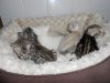 DSCN0943.JPG