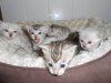 DSCN0951.JPG