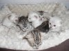 DSCN0952.JPG