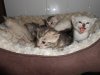 DSCN0953.JPG