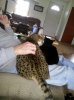 Tisa on bobs lap.jpg