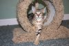 Mona10wks0004.jpg