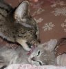 Bathtime.jpg