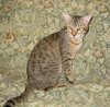 IMG_7999.jpeg
