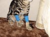 DSC01511.JPG