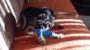 DSC01512.JPG